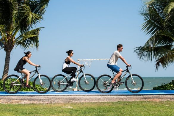 multi-purposed-resort-cycling-tracks