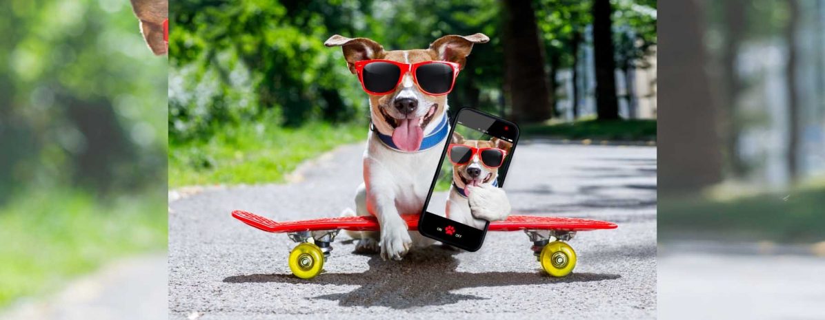 pet-cation-in-style